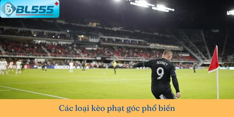 Live bet kèo phạt góc phút 85 - cơ hội ăn dày nhất tại BL555