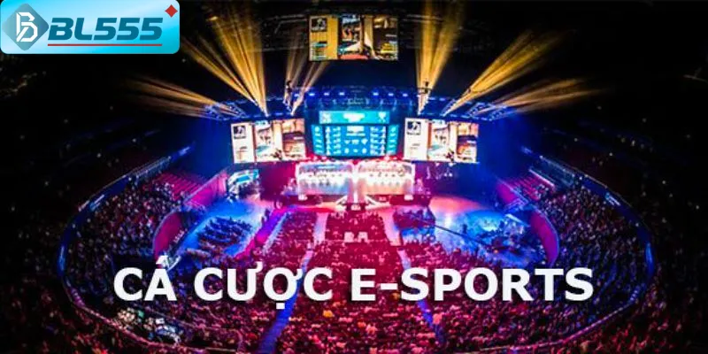 Kinh Nghiệm Cá Cược Esports BL555 - Thắng Lớn 2025 Giao diện cá cược esports BL555 - kèo cập nhật realtime 24/7